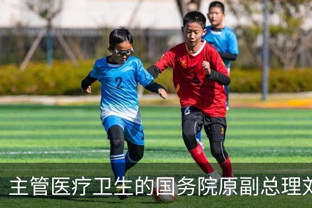 主管医疗卫生的国务院原副总理刘延东逝世