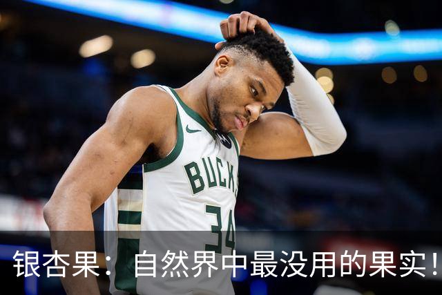 银杏果：自然界中最没用的果实！结果再多也一样沦为保护植物
